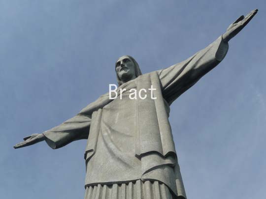 iC[W